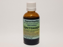 Hастоянка 